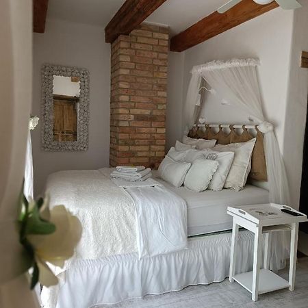 Květinový apartmán se soukromou terasou Pouzdrany Exteriér fotografie