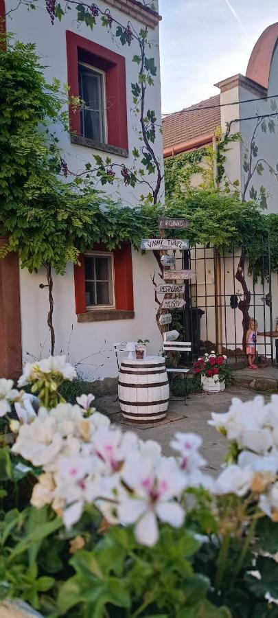 Květinový apartmán se soukromou terasou Pouzdrany Exteriér fotografie