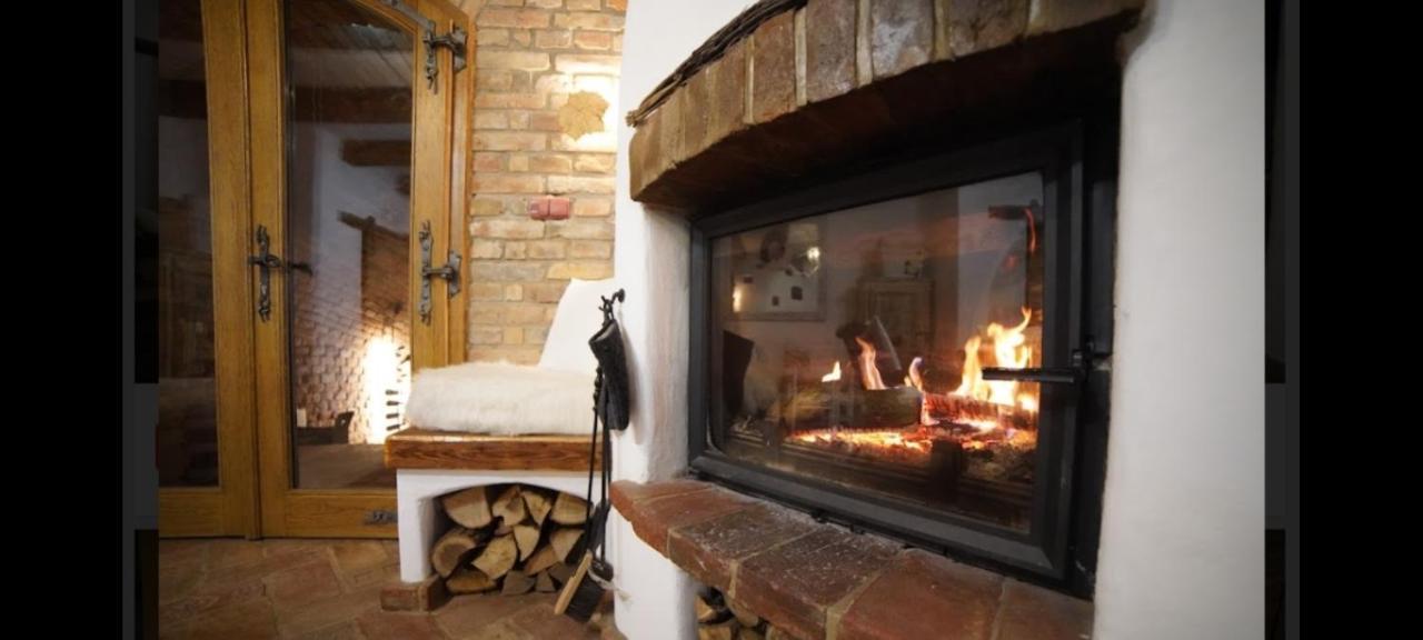 Květinový apartmán se soukromou terasou Pouzdrany Exteriér fotografie